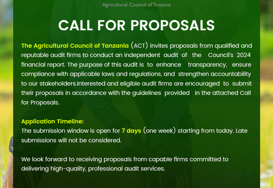 CALL FOR PROPOSALS: independent audit of the Council’s 2024 financial report
