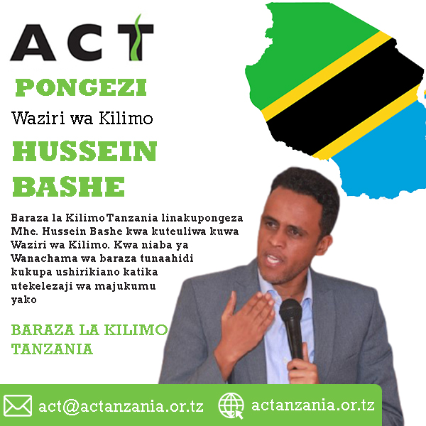 husseinbashe